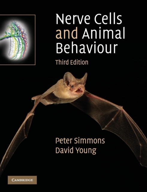 Nerve Cells and Animal Behaviour, Paperback / softback Book