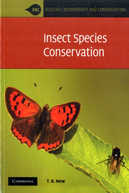 Insect Species Conservation, Paperback / softback Book
