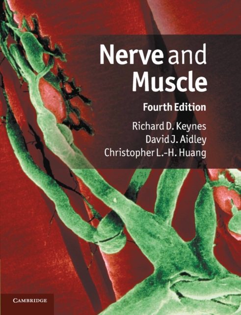 Nerve and Muscle, Paperback / softback Book