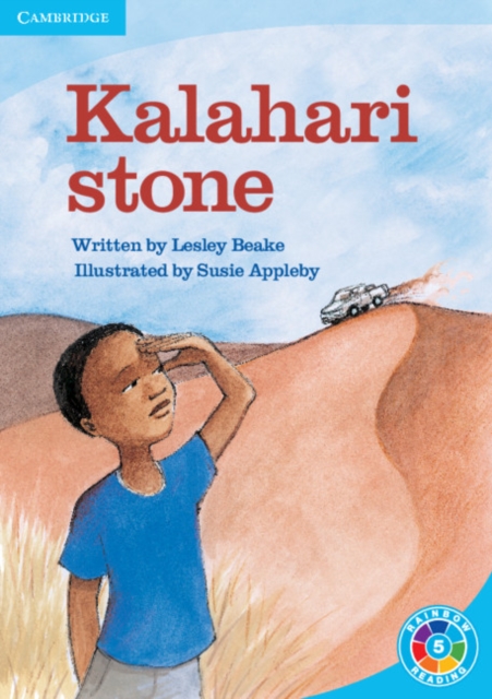 Kalahari Stone : What's the Plot?, Paperback / softback Book
