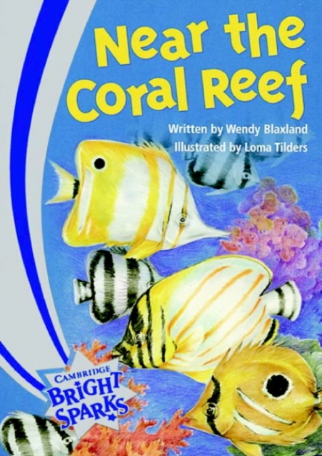 Bright Sparks: Near the Coral Reef : Emergent, Paperback Book