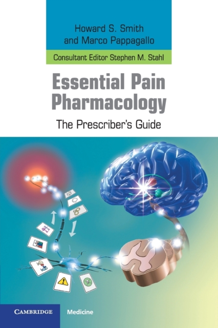 Essential Pain Pharmacology : The Prescriber's Guide, Paperback / softback Book