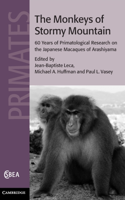 The Monkeys of Stormy Mountain : 60 Years of Primatological Research on the Japanese Macaques of Arashiyama, Hardback Book