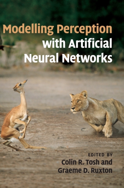 Modelling Perception with Artificial Neural Networks, Hardback Book