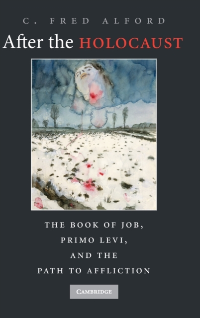 After the Holocaust : The Book of Job, Primo Levi, and the Path to Affliction, Hardback Book