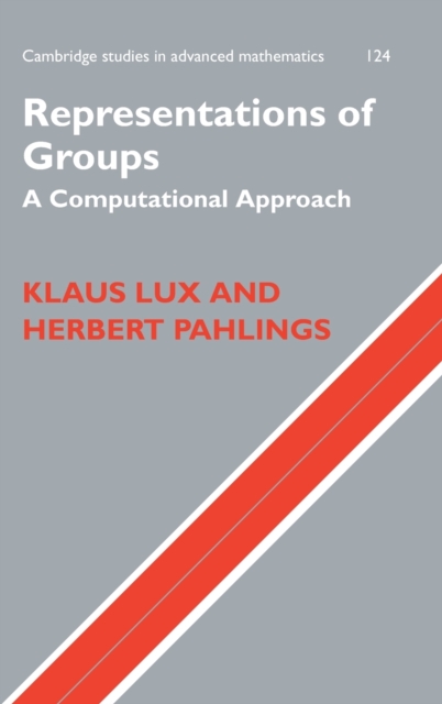 Representations of Groups : A Computational Approach, Hardback Book