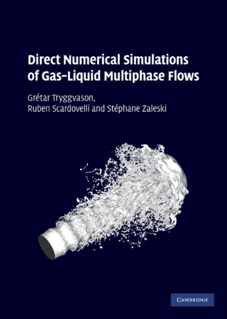 Direct Numerical Simulations of Gas-Liquid Multiphase Flows, Hardback Book