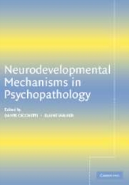 Neurodevelopmental Mechanisms in Psychopathology, Hardback Book