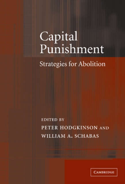 Capital Punishment : Strategies for Abolition, Hardback Book