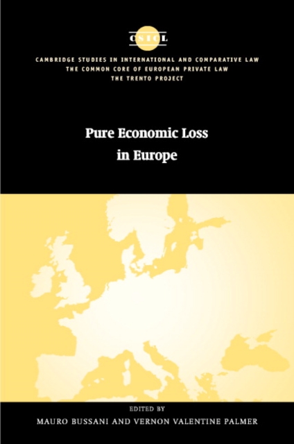 Pure Economic Loss in Europe, Hardback Book