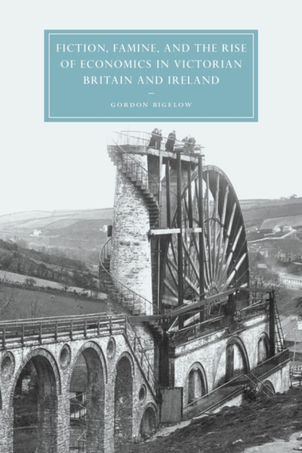 Fiction, Famine, and the Rise of Economics in Victorian Britain and Ireland, Hardback Book
