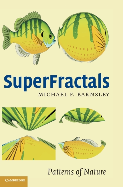 SuperFractals, Hardback Book