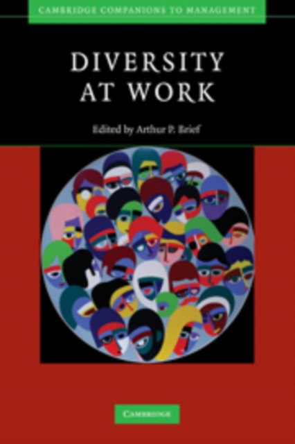 Diversity at Work, Hardback Book