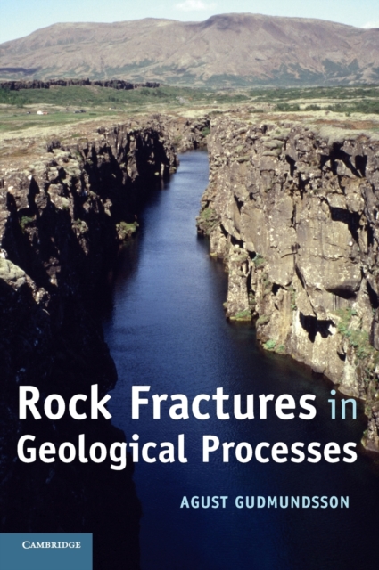 Rock Fractures in Geological Processes, Hardback Book