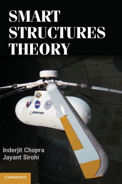 Smart Structures Theory, Hardback Book
