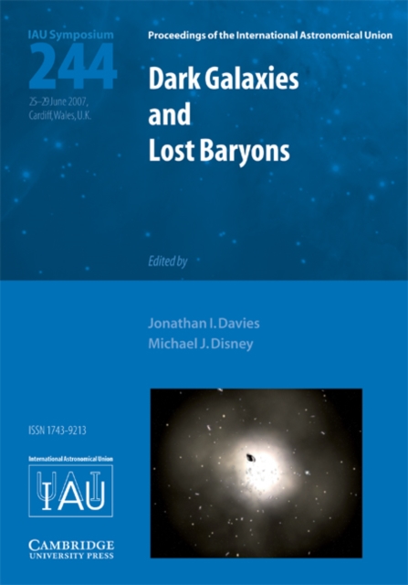 Dark Galaxies and Lost Baryons (IAU S244), Hardback Book