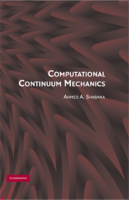 Computational Continuum Mechanics, Hardback Book
