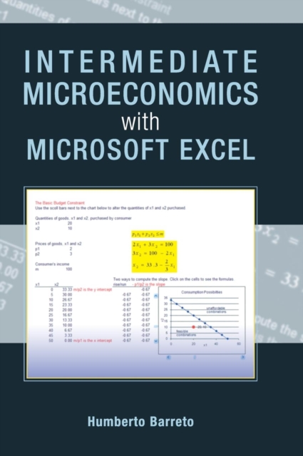 Intermediate Microeconomics with Microsoft Excel, Hardback Book