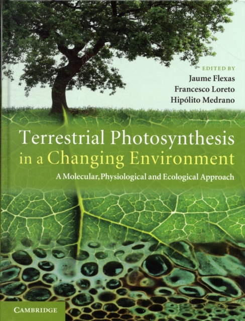 Terrestrial Photosynthesis in a Changing Environment : A Molecular, Physiological, and Ecological Approach, Hardback Book