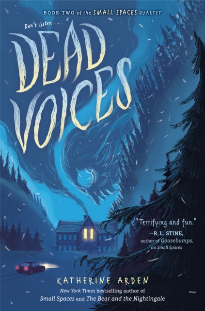 Dead Voices, Hardback Book