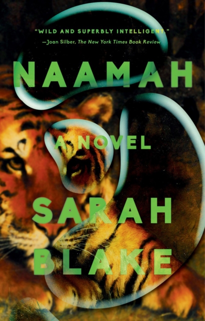 Naamah : A Novel, Paperback / softback Book