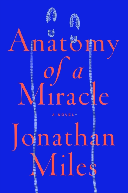 Anatomy of a Miracle : A Novel, Paperback / softback Book