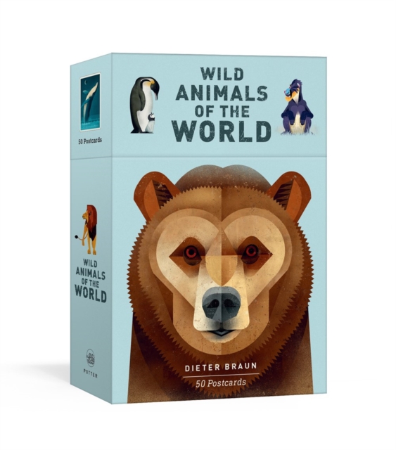 Wild Animals of the World: 50 Postcards, Postcard book or pack Book