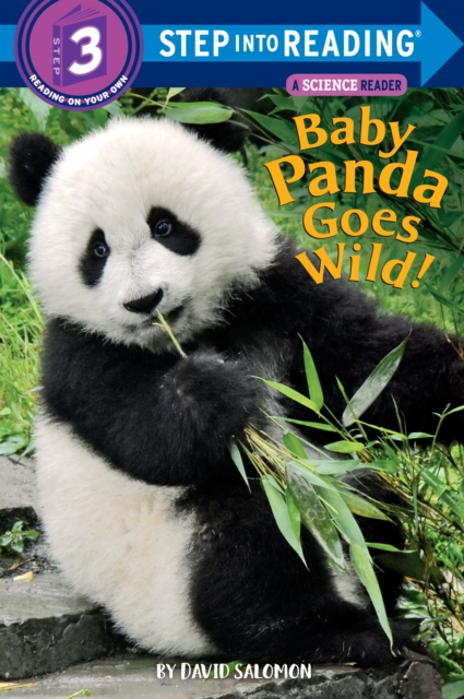 Baby Panda Goes Wild!, Paperback / softback Book