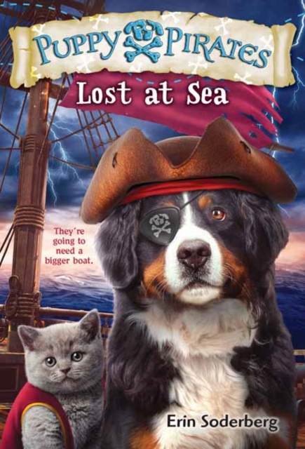 Puppy Pirates #7: Lost at Sea, Hardback Book