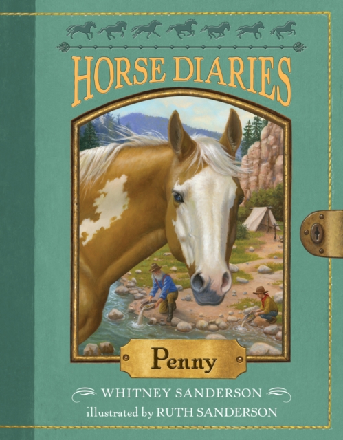 Horse Diaries #16: Penny, Paperback / softback Book