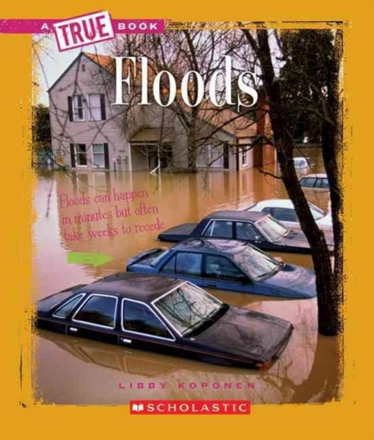Floods (A True Book: Earth Science), Paperback Book