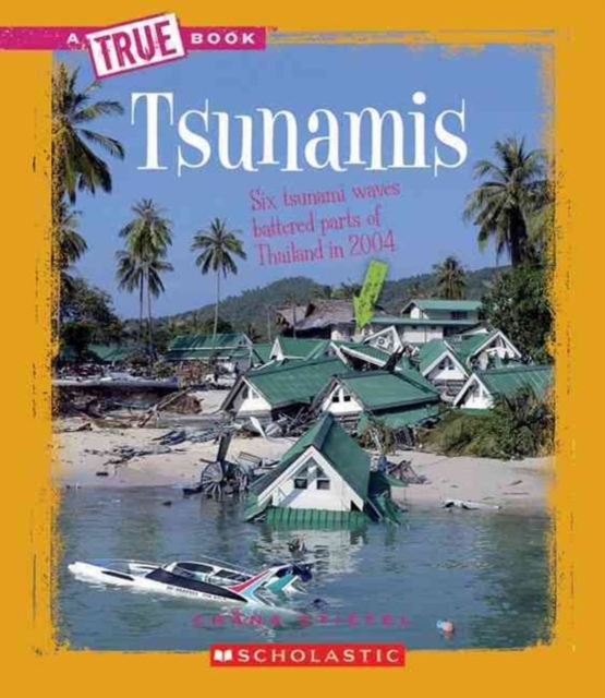 Tsunamis (A True Book: Earth Science), Paperback Book