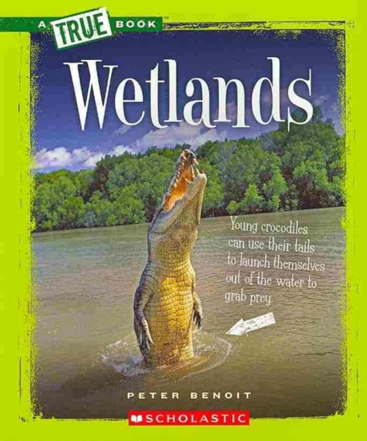 WETLANDS, Paperback Book
