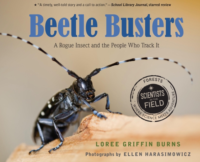 Beetle Busters : A Rogue Insect and the People Who Track It, EPUB eBook