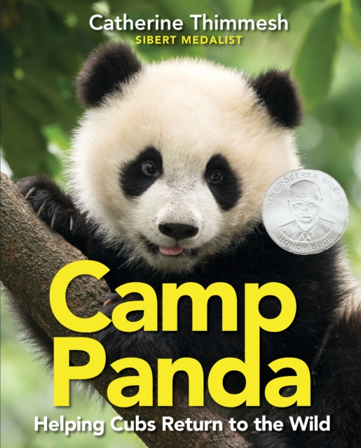 Camp Panda: Helping Cubs Return to the Wild, Hardback Book