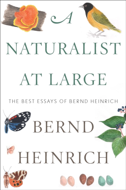 A Naturalist at Large : The Best Essays of Bernd Heinrich, EPUB eBook
