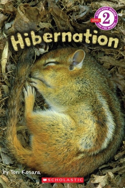 Scholastic Reader Level 2 : Hibernation, Paperback Book