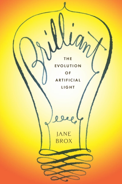 Brilliant : The Evolution of Artificial Light, EPUB eBook