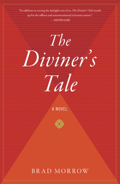 The Diviner's Tale : A Novel, EPUB eBook