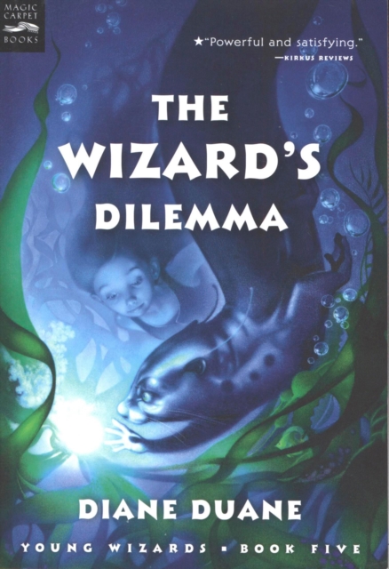 The Wizard's Dilemma, EPUB eBook