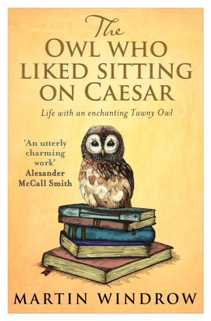 The Owl Who Liked Sitting on Caesar, Paperback / softback Book