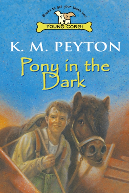 Pony In The Dark, Paperback / softback Book