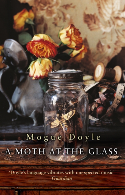 A Moth At The Glass, Paperback / softback Book