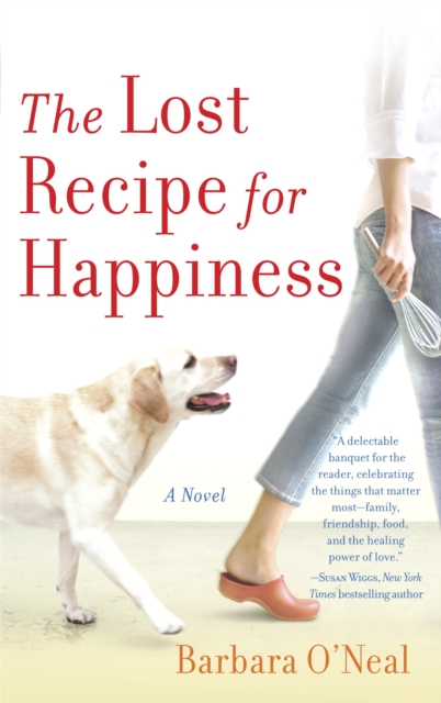 The Lost Recipe for Happiness : A Novel, Paperback / softback Book
