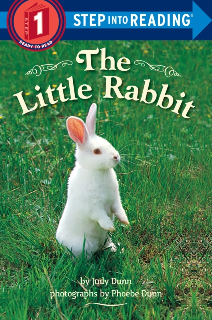 The Little Rabbit, Paperback / softback Book