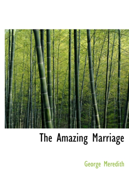 The Amazing Marriage, Hardback Book
