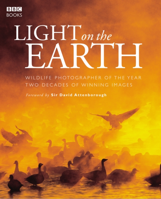 Light On The Earth, Hardback Book