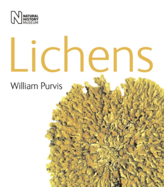 Lichens, Paperback / softback Book
