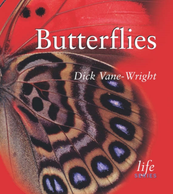 Butterflies, Paperback Book
