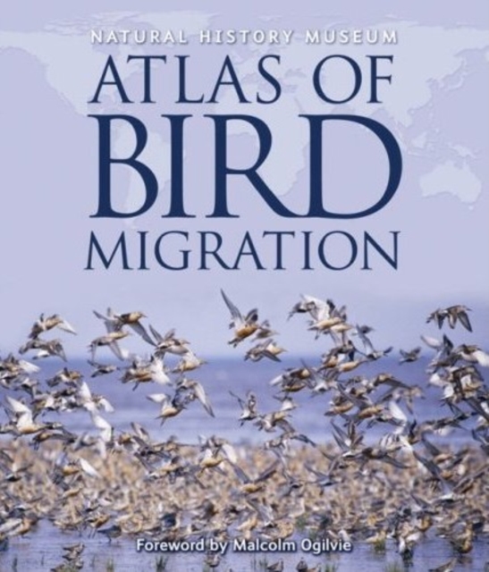 Natural History Museum Atlas of Bird Migration : Tracing the Great Journeys of the World's Birds, Hardback Book